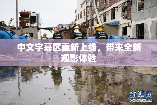 中文字幕区重新上线，带来全新观影体验