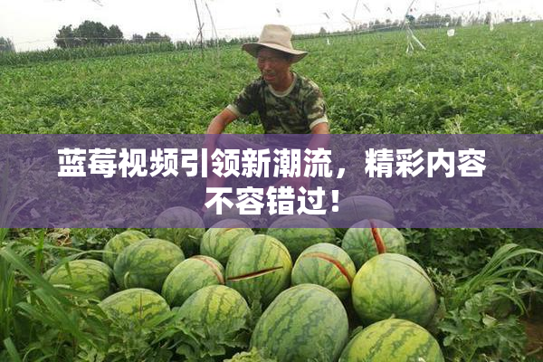 蓝莓视频引领新潮流，精彩内容不容错过！