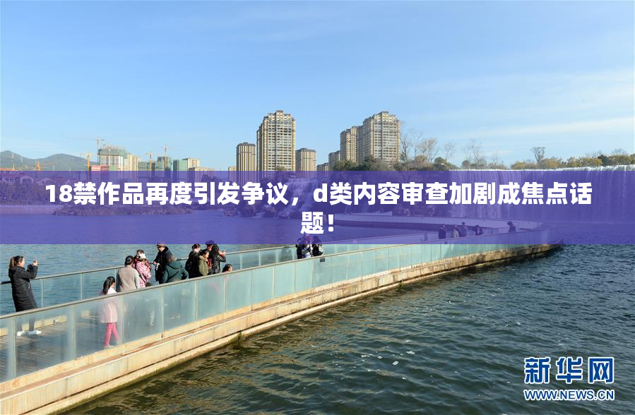 18禁作品再度引发争议，d类内容审查加剧成焦点话题！