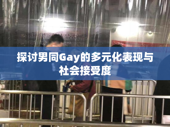 探讨男同Gay的多元化表现与社会接受度