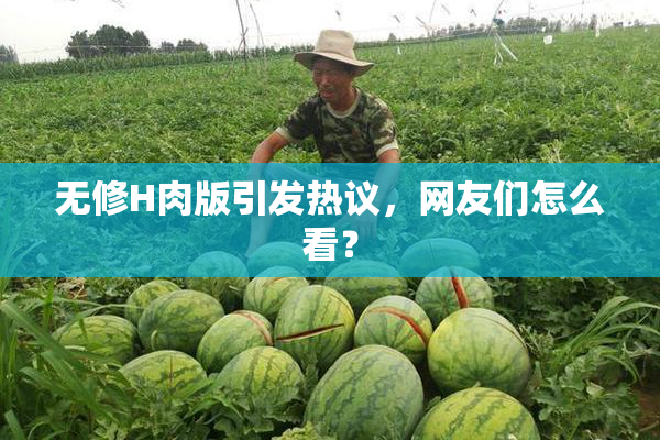 无修H肉版引发热议，网友们怎么看？