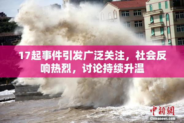 17起事件引发广泛关注，社会反响热烈，讨论持续升温
