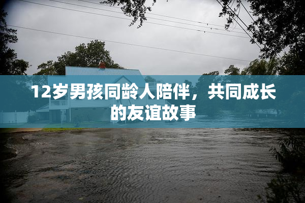 12岁男孩同龄人陪伴，共同成长的友谊故事