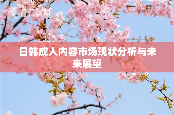 日韩成人内容市场现状分析与未来展望