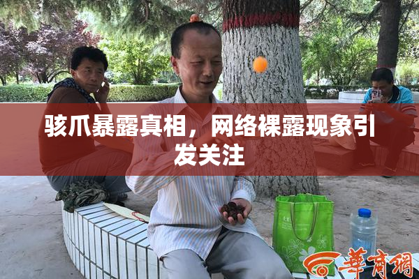 骇爪暴露真相，网络裸露现象引发关注