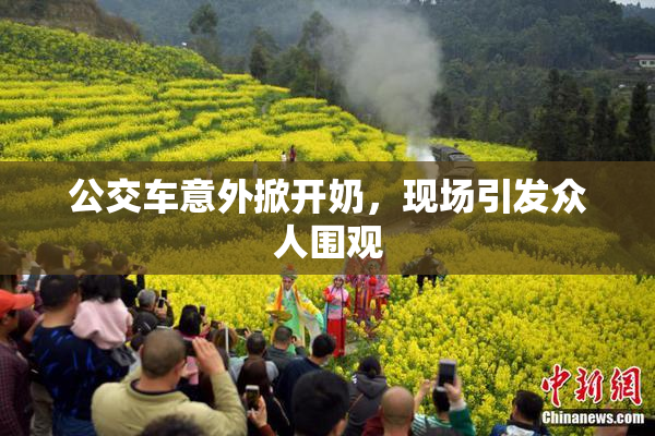 公交车意外掀开奶，现场引发众人围观