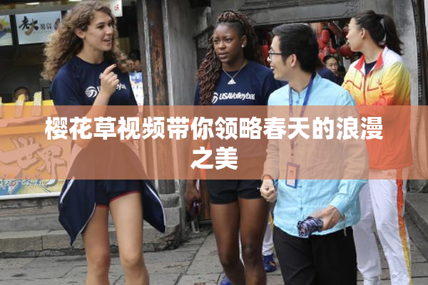 樱花草视频带你领略春天的浪漫之美