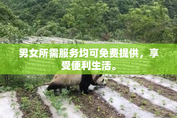 男女所需服务均可免费提供，享受便利生活。