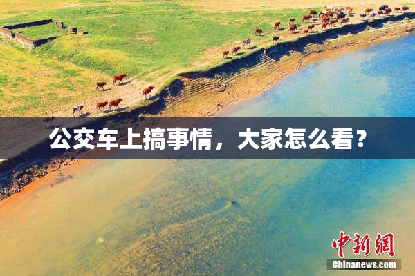 公交车上搞事情，大家怎么看？