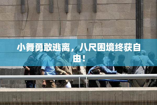 小舞勇敢逃离，八尺困境终获自由！