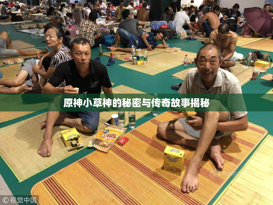 原神小草神的秘密与传奇故事揭秘