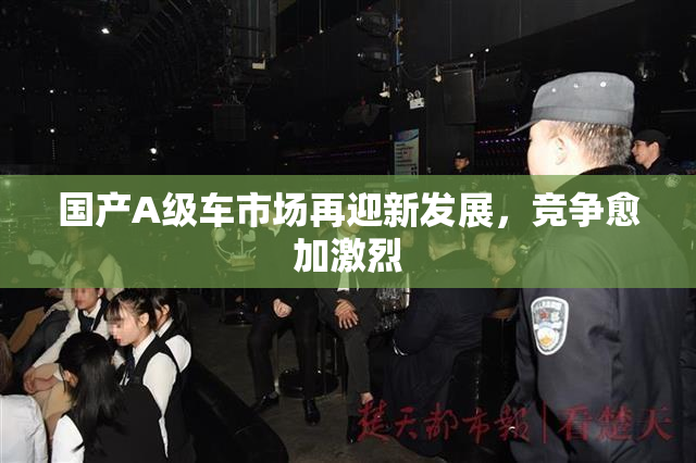 国产A级车市场再迎新发展，竞争愈加激烈