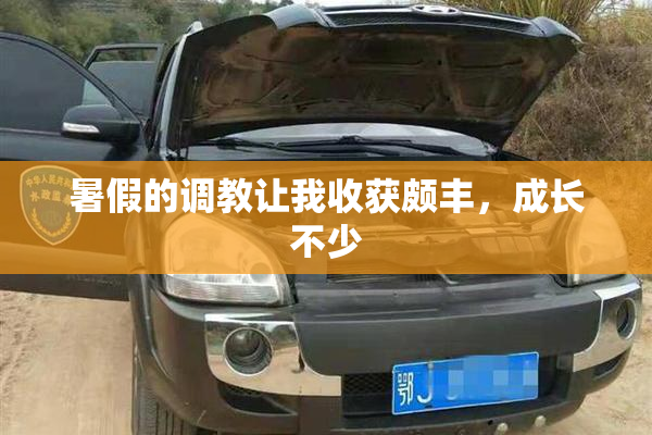 暑假的调教让我收获颇丰，成长不少