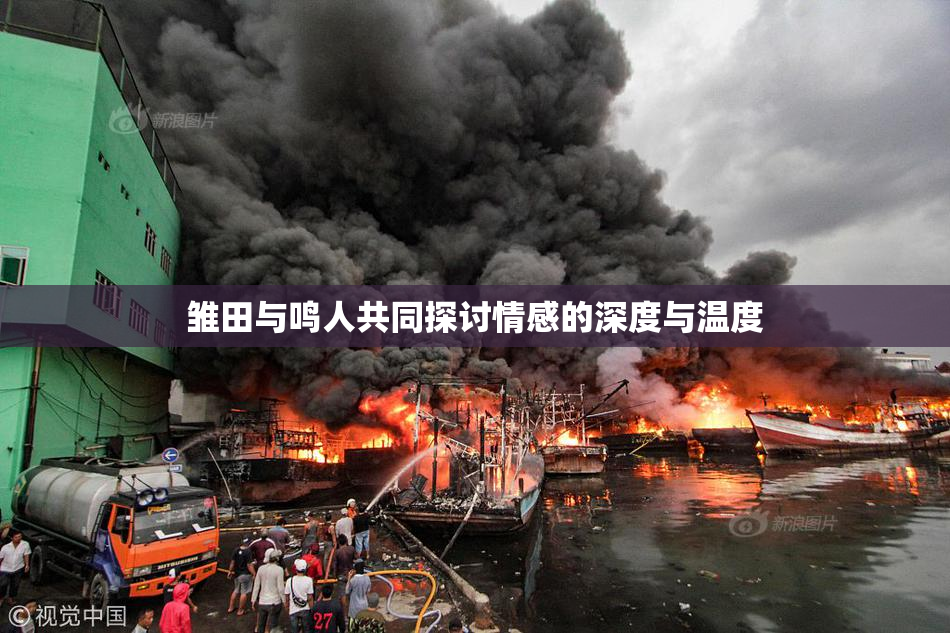 雏田与鸣人共同探讨情感的深度与温度