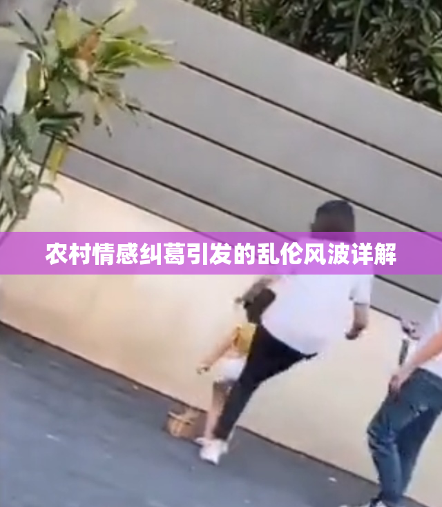 农村情感纠葛引发的乱伦风波详解