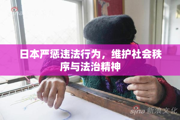 日本严惩违法行为，维护社会秩序与法治精神