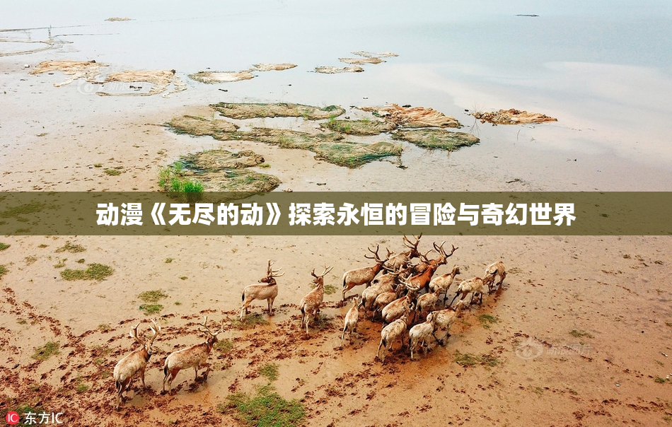 动漫《无尽的动》探索永恒的冒险与奇幻世界