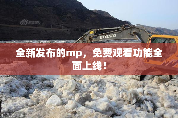 全新发布的mp，免费观看功能全面上线！