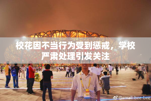 校花因不当行为受到惩戒，学校严肃处理引发关注