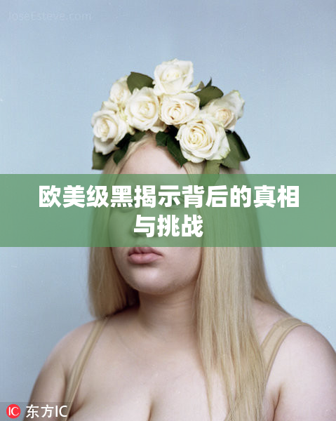 欧美级黑揭示背后的真相与挑战