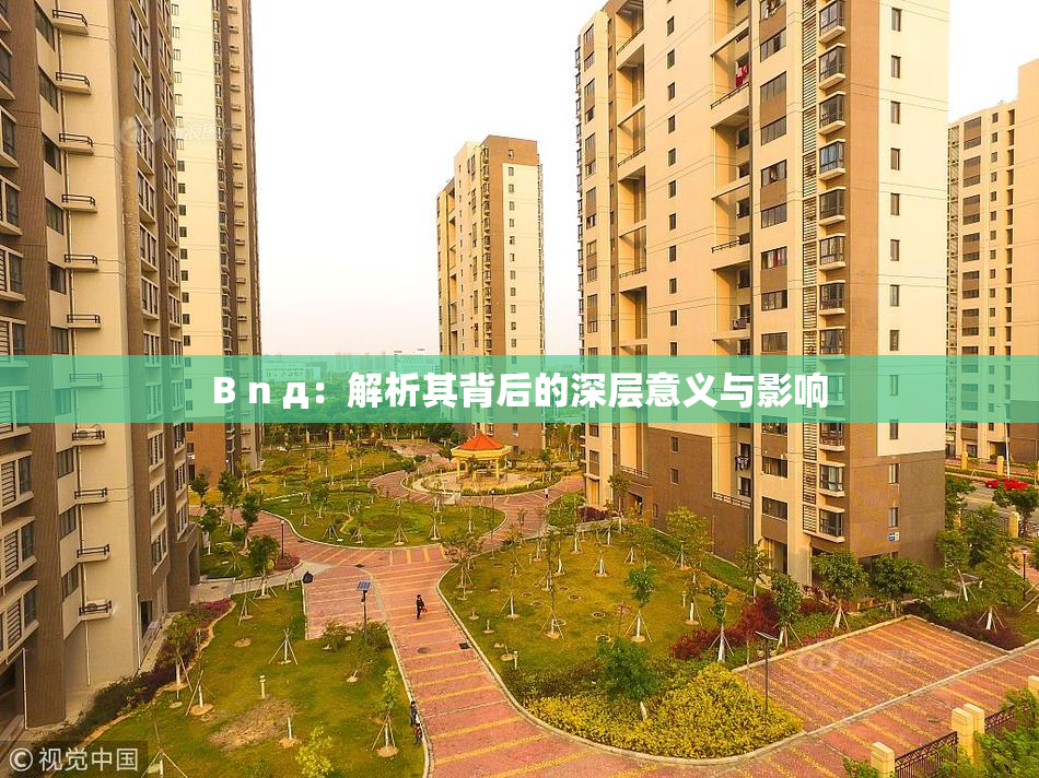 B n д：解析其背后的深层意义与影响