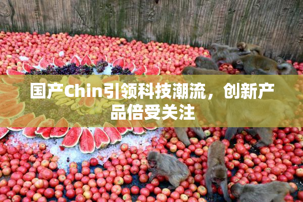 国产Chin引领科技潮流，创新产品倍受关注