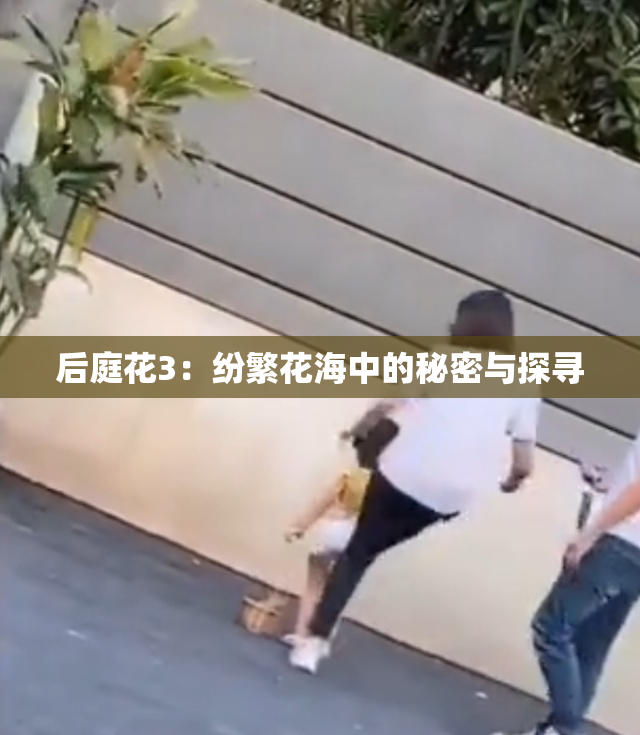 后庭花3：纷繁花海中的秘密与探寻
