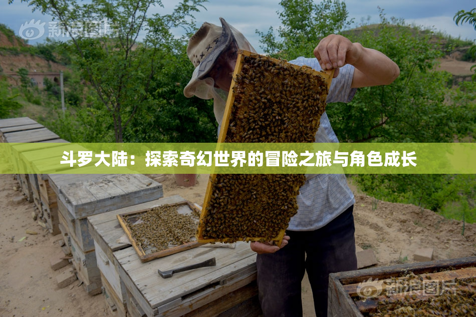 斗罗大陆：探索奇幻世界的冒险之旅与角色成长