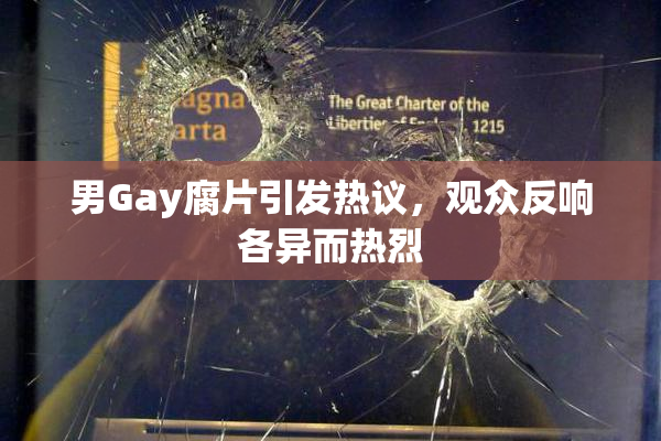 男Gay腐片引发热议，观众反响各异而热烈