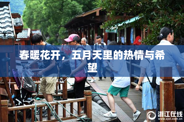 春暖花开，五月天里的热情与希望