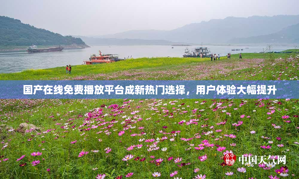 国产在线免费播放平台成新热门选择，用户体验大幅提升