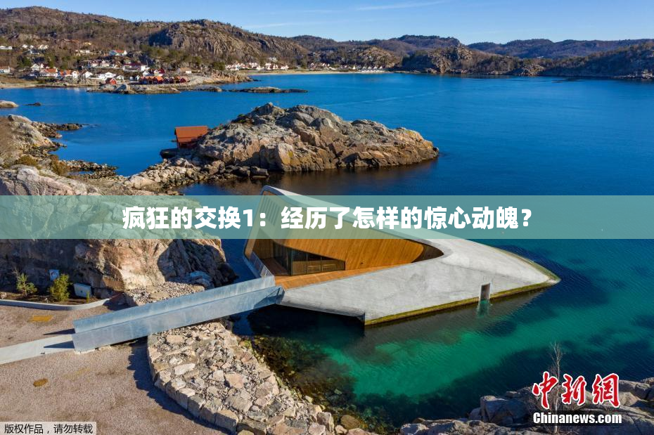 疯狂的交换1：经历了怎样的惊心动魄？