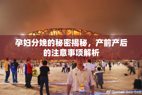孕妇分娩的秘密揭秘，产前产后的注意事项解析
