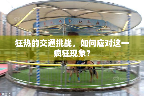 狂热的交通挑战，如何应对这一疯狂现象？
