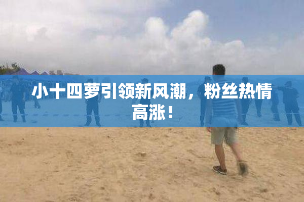 小十四萝引领新风潮，粉丝热情高涨！