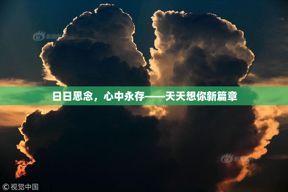 日日思念，心中永存——天天想你新篇章