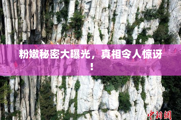 粉嫩秘密大曝光，真相令人惊讶！