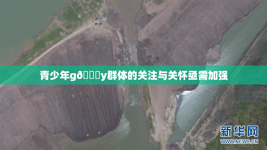 青少年g🈚y群体的关注与关怀亟需加强