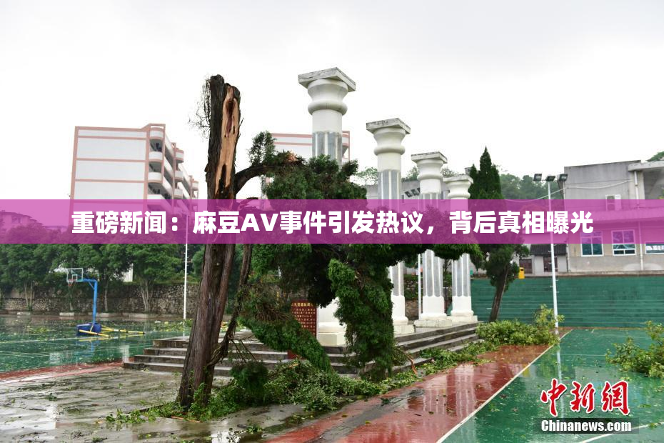 重磅新闻：麻豆AV事件引发热议，背后真相曝光