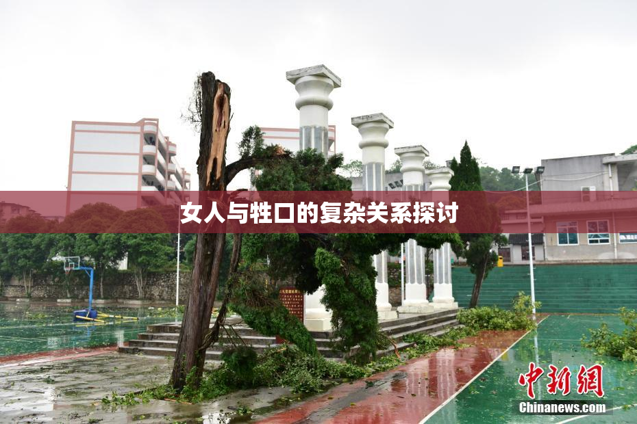 女人与牲口的复杂关系探讨