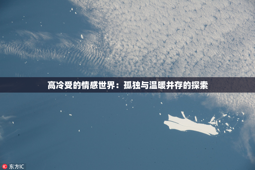高冷受的情感世界：孤独与温暖并存的探索