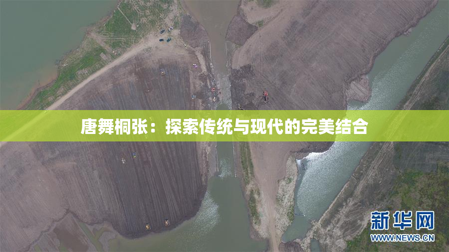唐舞桐张：探索传统与现代的完美结合