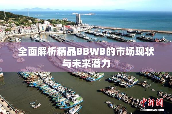 全面解析精品BBWB的市场现状与未来潜力
