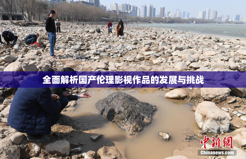 全面解析国产伦理影视作品的发展与挑战