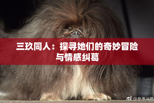 三玖同人：探寻她们的奇妙冒险与情感纠葛