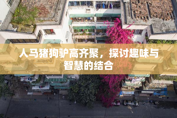人马猪狗驴高齐聚，探讨趣味与智慧的结合