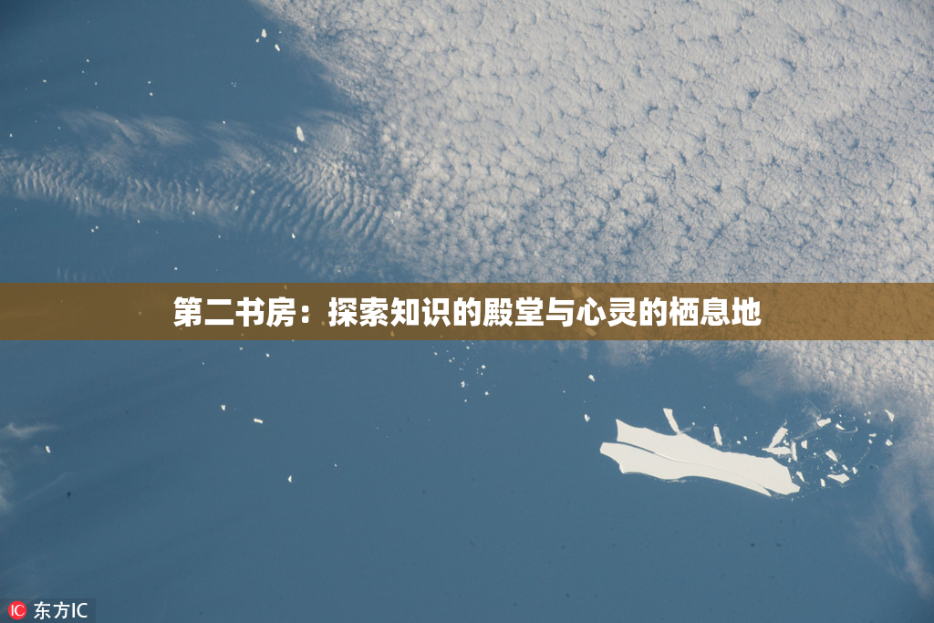 第二书房：探索知识的殿堂与心灵的栖息地