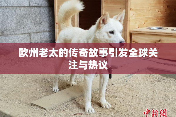 欧州老太的传奇故事引发全球关注与热议