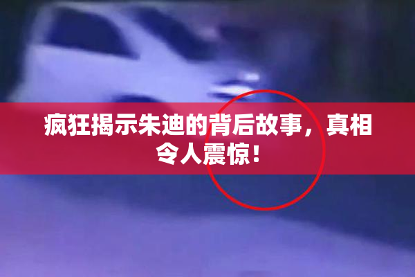 疯狂揭示朱迪的背后故事，真相令人震惊！