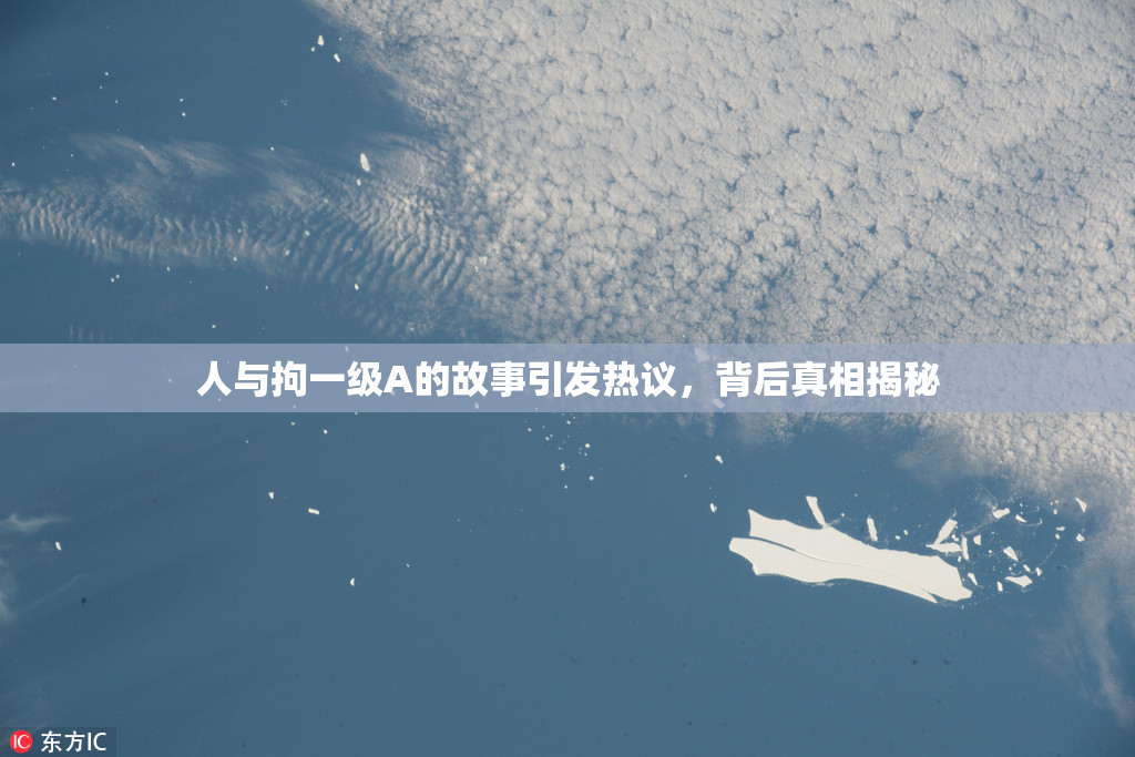 人与拘一级A的故事引发热议，背后真相揭秘